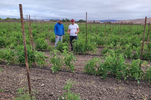 Resized_Resized_20220605_092513