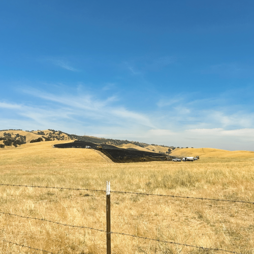 Screenshot 2024-07-01 at 4.34.31 PM