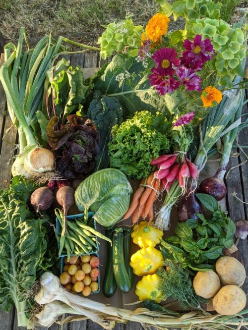 Six O'Clock Farm, West Sacramento