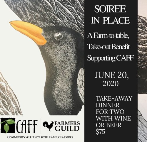 Soire in Place 2020 graphic