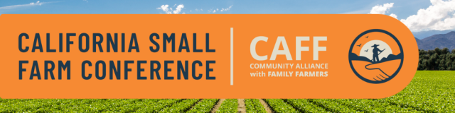 Untitled design (93)