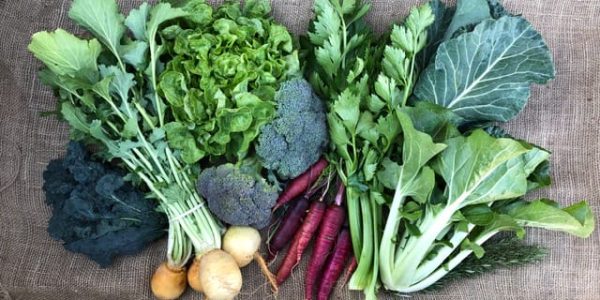 Winter 2020 Veg Box Sample Image (1)