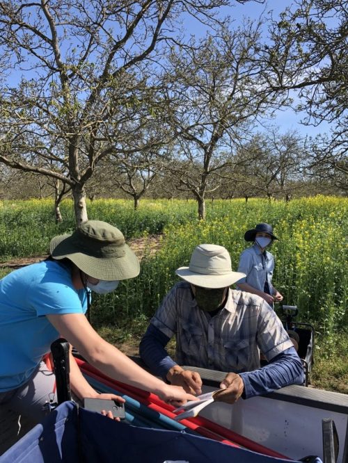 BIOS project team meeting in field
