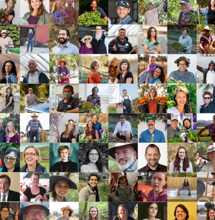 collage farmers sans alfred