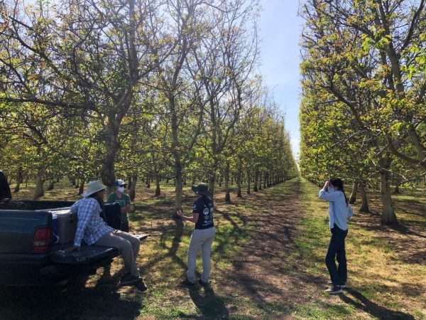 BIOS project mating disruption setup team in Linden, CA
