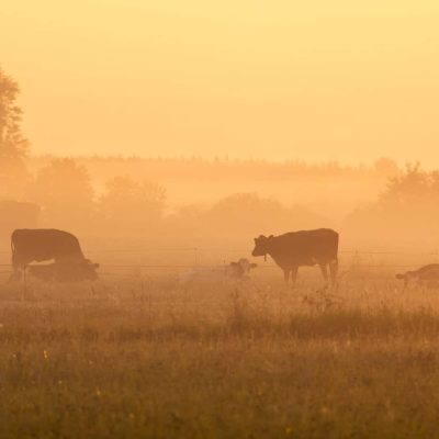 jamo-images-V3kU8ZAAKY0-unsplash