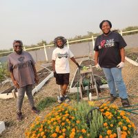 Black Urban Farmers Association / Stockton, CA