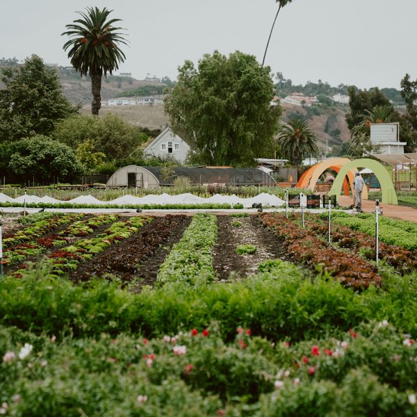 The Ecology Center, San Juan Capistrano, CA. PC: Keely Cervantes