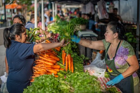 The Fight to Keep Farmers’ Markets Open During Coronavirus