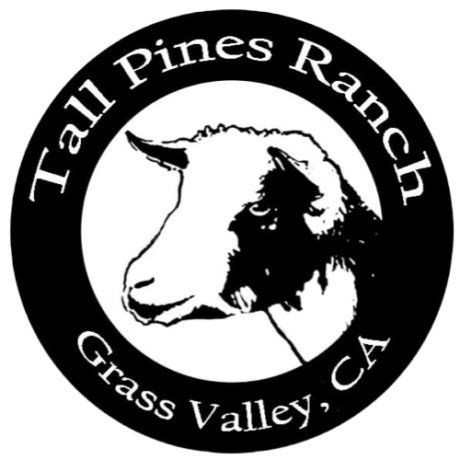 Tall Pines Ranch
