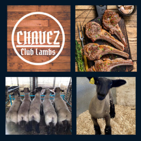 Chavez Lamb