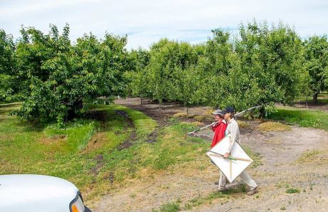 CAFF Job: Ecological Pest Management Field Technician – Sacramento Valley