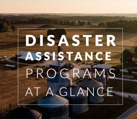 USDA Disaster Assistance Programs At a Glance