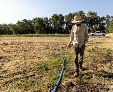 Drought-threatened Family Farmers React to Governor’s Proposed Budget